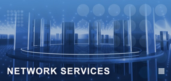 network services 